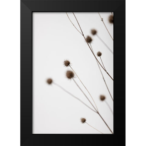 Thistle Grey 02 Black Modern Wood Framed Art Print by 1x Studio III