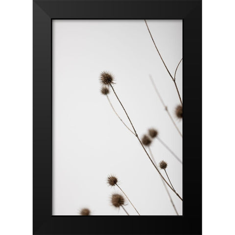 Thistle Grey 03 Black Modern Wood Framed Art Print by 1x Studio III