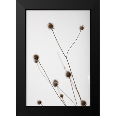 Thistle Grey 04 Black Modern Wood Framed Art Print by 1x Studio III