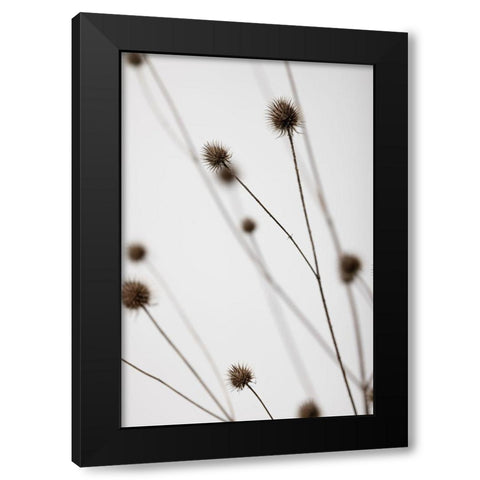 Thistle Grey 05 Black Modern Wood Framed Art Print by 1x Studio III