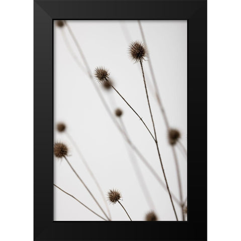 Thistle Grey 05 Black Modern Wood Framed Art Print by 1x Studio III