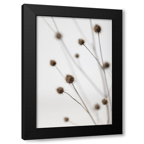 Thistle Grey 06 Black Modern Wood Framed Art Print by 1x Studio III
