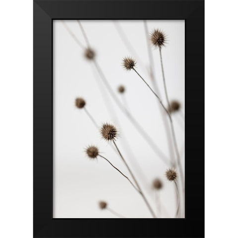 Thistle Grey 06 Black Modern Wood Framed Art Print by 1x Studio III