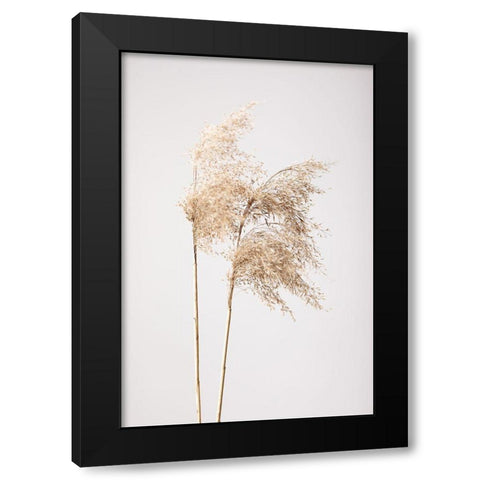 Reed Grass Grey 02 Black Modern Wood Framed Art Print by 1x Studio III