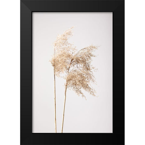 Reed Grass Grey 02 Black Modern Wood Framed Art Print by 1x Studio III