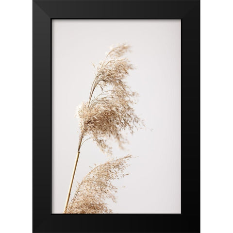 Reed Grass Grey 03 Black Modern Wood Framed Art Print by 1x Studio III