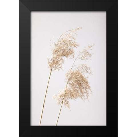 Reed Grass Grey 05 Black Modern Wood Framed Art Print by 1x Studio III