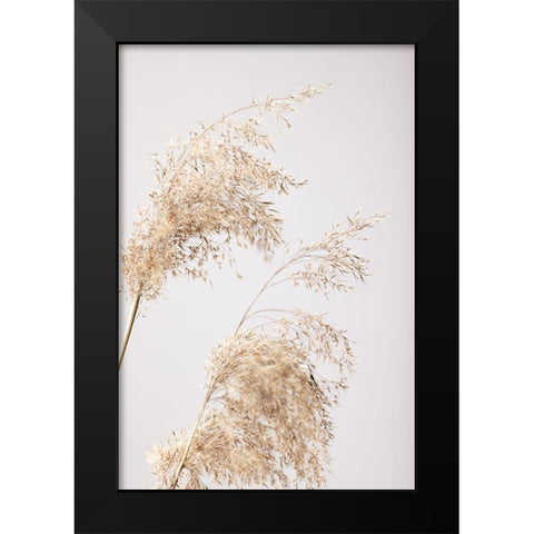 Reed Grass Grey 06 Black Modern Wood Framed Art Print by 1x Studio III