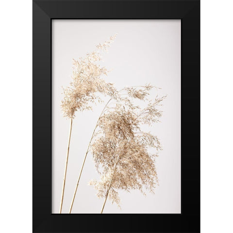 Reed Grass Grey 07 Black Modern Wood Framed Art Print by 1x Studio III