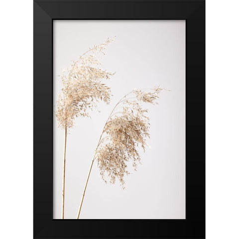 Reed Grass Grey 08 Black Modern Wood Framed Art Print by 1x Studio III
