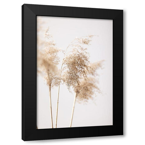Reed Grass Grey 09 Black Modern Wood Framed Art Print by 1x Studio III