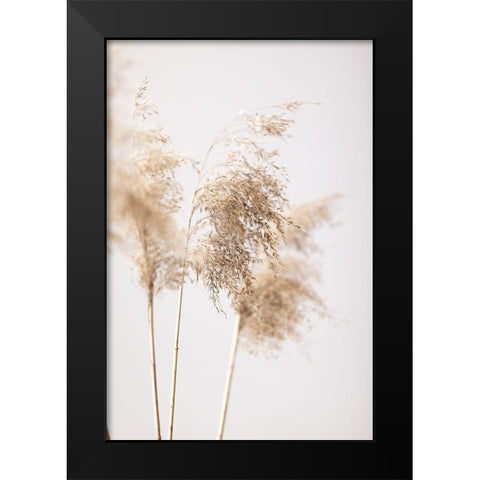 Reed Grass Grey 09 Black Modern Wood Framed Art Print by 1x Studio III