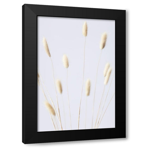 Bunny Grass No 2 Black Modern Wood Framed Art Print with Double Matting by 1x Studio III