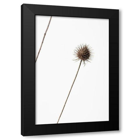 Thistle Grey 08 Black Modern Wood Framed Art Print by 1x Studio III
