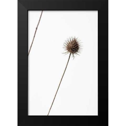 Thistle Grey 08 Black Modern Wood Framed Art Print by 1x Studio III