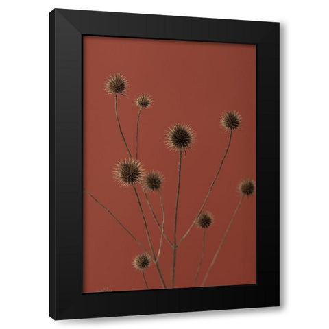 Thistle Rust Red 01 Black Modern Wood Framed Art Print by 1x Studio III