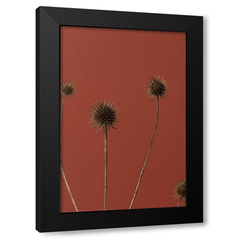 Thistle Rust Red 02 Black Modern Wood Framed Art Print with Double Matting by 1x Studio III