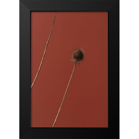 Thistle Rust Red 03 Black Modern Wood Framed Art Print by 1x Studio III