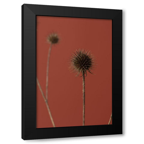 Thistle Rust Red 04 Black Modern Wood Framed Art Print by 1x Studio III