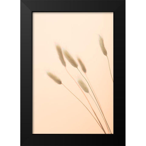 Bunny Grass Peach 03 Black Modern Wood Framed Art Print by 1x Studio III