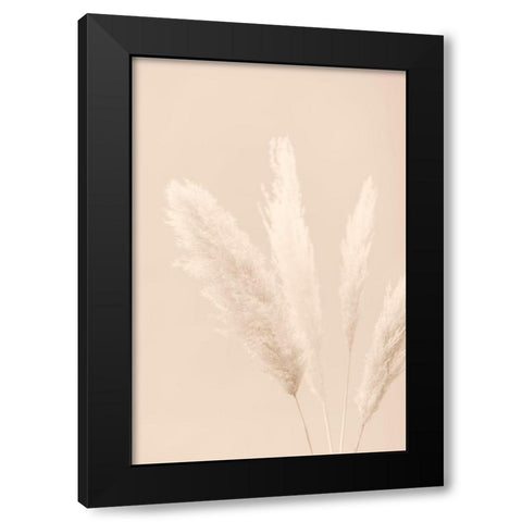 Pampas Grass Beige 06 Black Modern Wood Framed Art Print by 1x Studio III