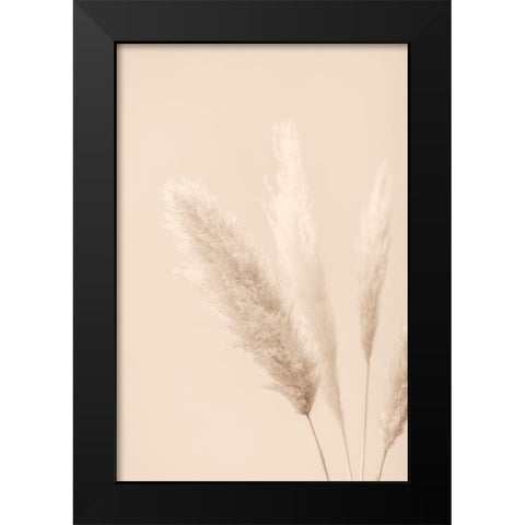 Pampas Grass Beige 08 Black Modern Wood Framed Art Print by 1x Studio III