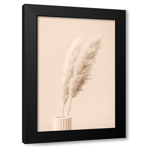 Pampas Grass Begie 13 Black Modern Wood Framed Art Print with Double Matting by 1x Studio III
