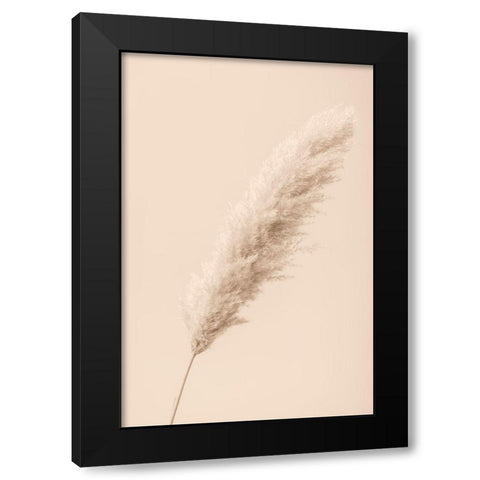 Pampas Grass Begie 14 Black Modern Wood Framed Art Print by 1x Studio III