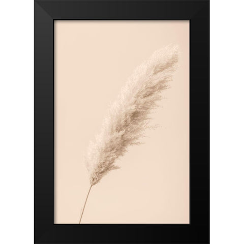 Pampas Grass Begie 14 Black Modern Wood Framed Art Print by 1x Studio III