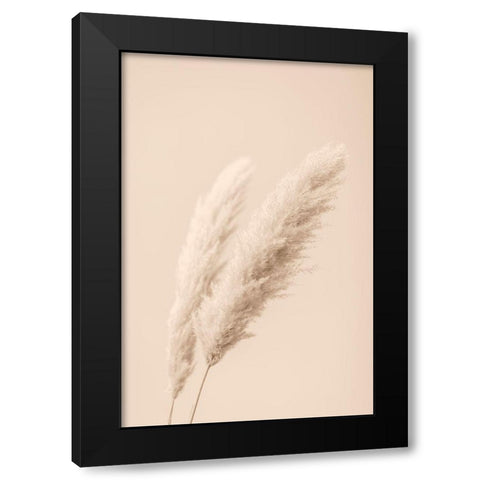 Pampas Grass Begie 15 Black Modern Wood Framed Art Print by 1x Studio III