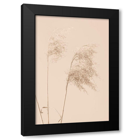 Reed Grass Begie 01 Black Modern Wood Framed Art Print by 1x Studio III