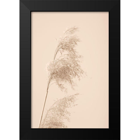 Reed Grass Beige 03 Black Modern Wood Framed Art Print by 1x Studio III