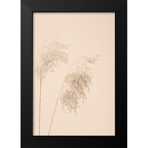 Reed Grass Beige 08 Black Modern Wood Framed Art Print by 1x Studio III