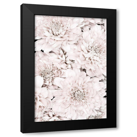 Chrysanthemum No 07 Black Modern Wood Framed Art Print by 1x Studio III