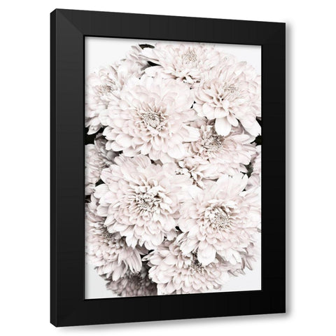 Chrysanthemum No 08 Black Modern Wood Framed Art Print by 1x Studio III