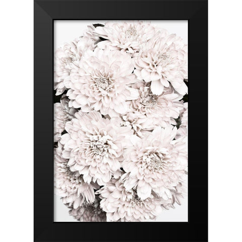 Chrysanthemum No 08 Black Modern Wood Framed Art Print by 1x Studio III