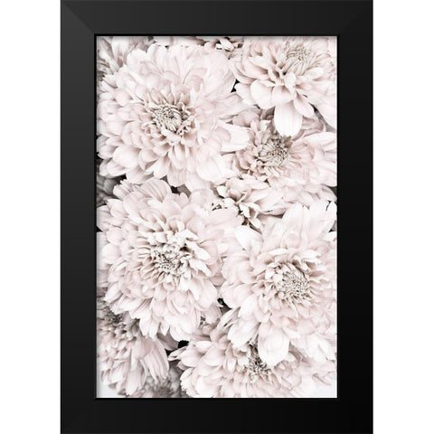 Chrysanthemum No 09 Black Modern Wood Framed Art Print by 1x Studio III