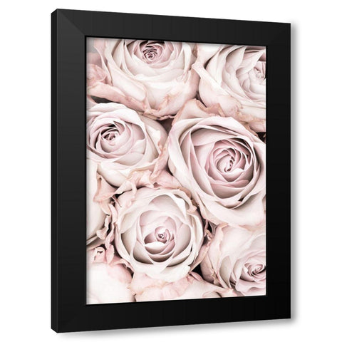 Pink Roses No 01 Black Modern Wood Framed Art Print by 1x Studio III