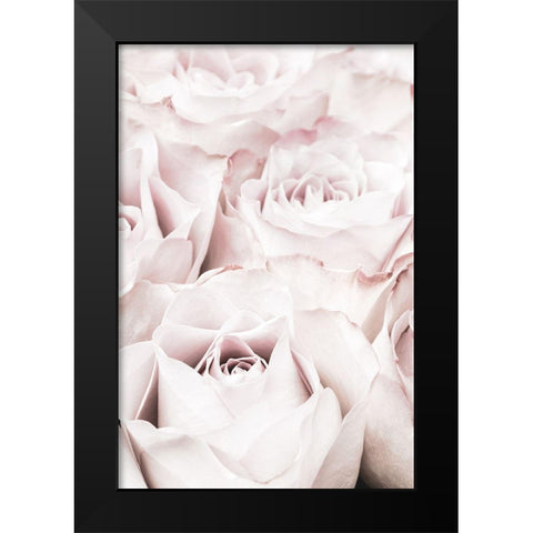 Pink Roses No 04 Black Modern Wood Framed Art Print by 1x Studio III