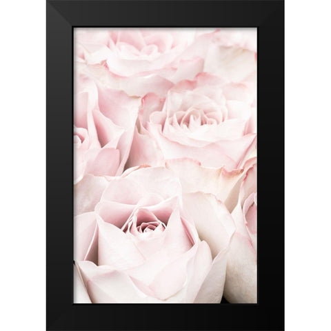 Pink Roses 05 Black Modern Wood Framed Art Print by 1x Studio III