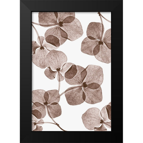 Botanical 4 Black Modern Wood Framed Art Print by Lenka
