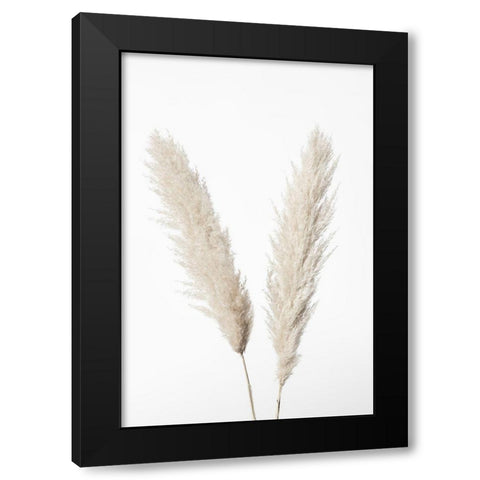 Pampas White Black Modern Wood Framed Art Print by 1x Studio III