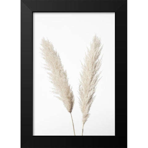 Pampas White Black Modern Wood Framed Art Print by 1x Studio III