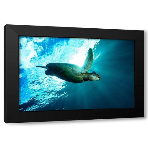 Into The Light Black Modern Wood Framed Art Print with Double Matting by Melesan, Serge