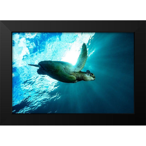 Into The Light Black Modern Wood Framed Art Print by Melesan, Serge