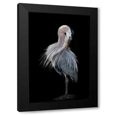 The Elegant Great Blue Heron Black Modern Wood Framed Art Print by D Lester, Linda