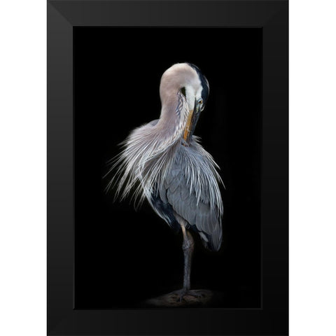 The Elegant Great Blue Heron Black Modern Wood Framed Art Print by D Lester, Linda