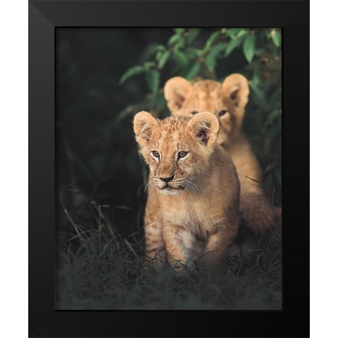 Untitled Black Modern Wood Framed Art Print by Sobhi, Ahmed