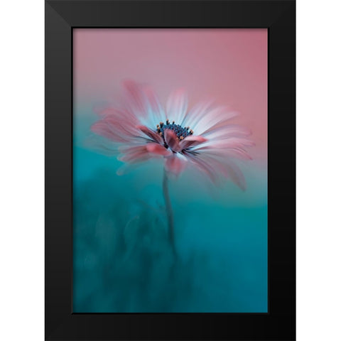 Pink Magic Black Modern Wood Framed Art Print by Jacobs, Lydia