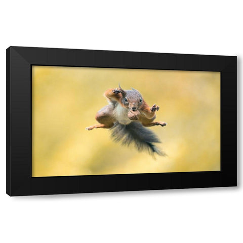 Ninja Style Black Modern Wood Framed Art Print by Colemont, Niki